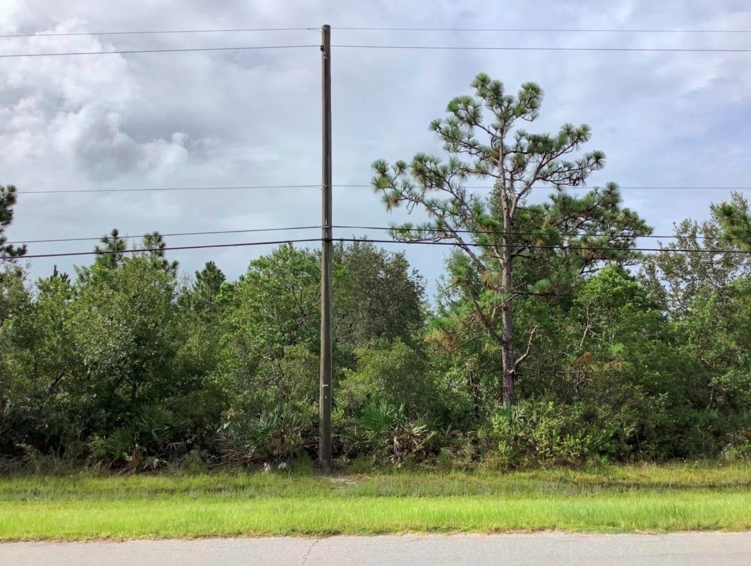 Orlando Land in Wedgefield