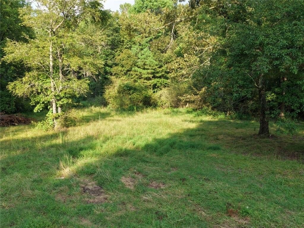 Picture 7