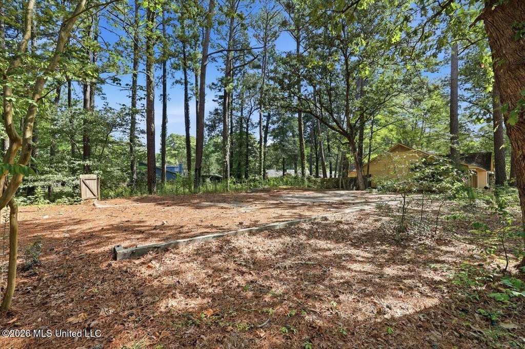 Picture 10