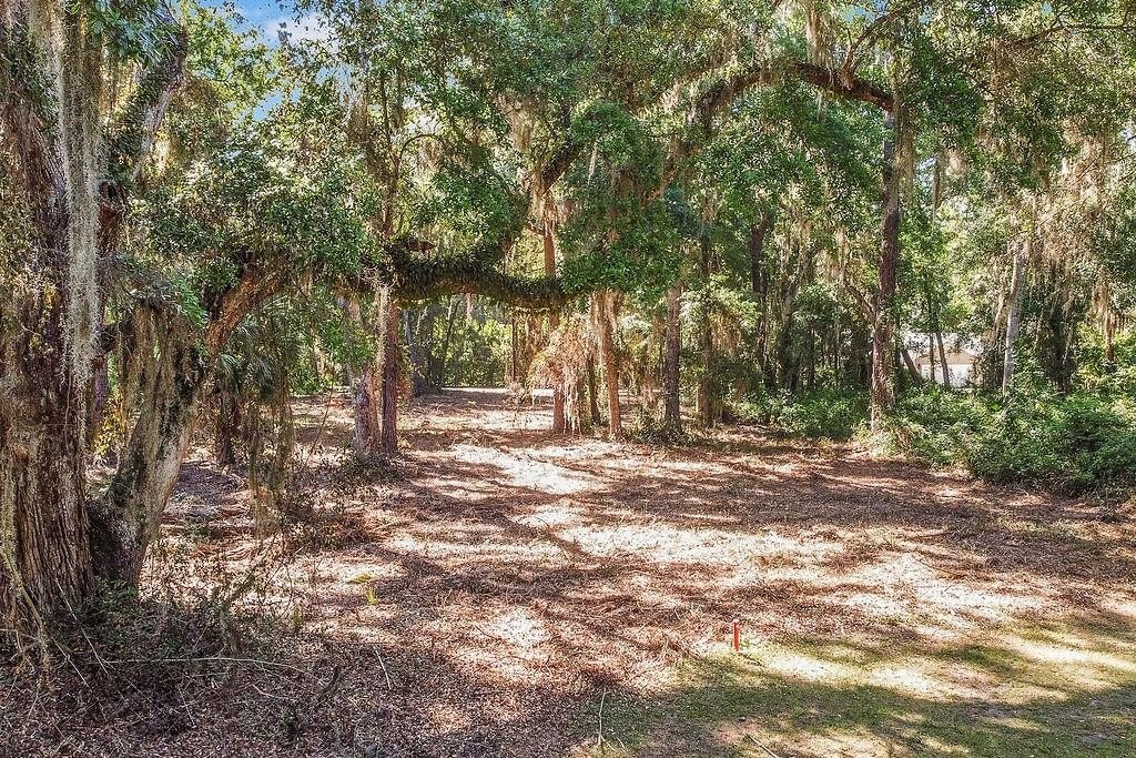 Coastal Lot on Tolomato Island