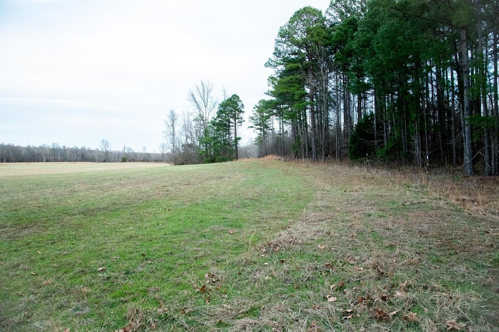 Picture 19