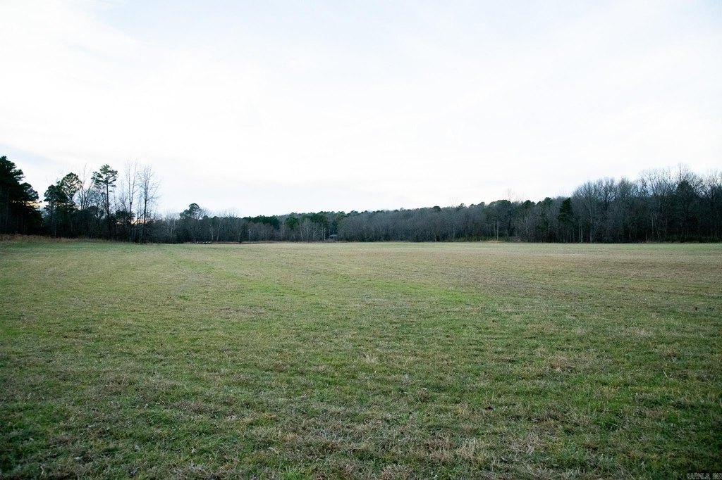 Picture 23