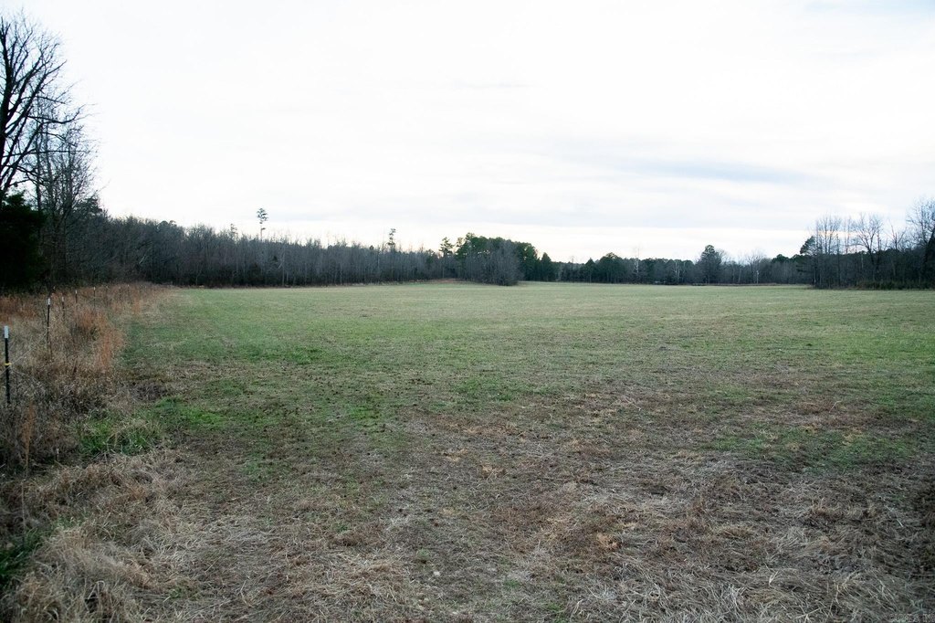 Picture 24