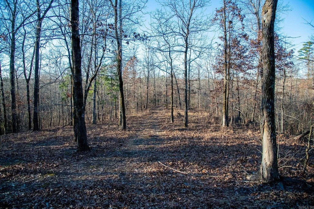 Picture 35