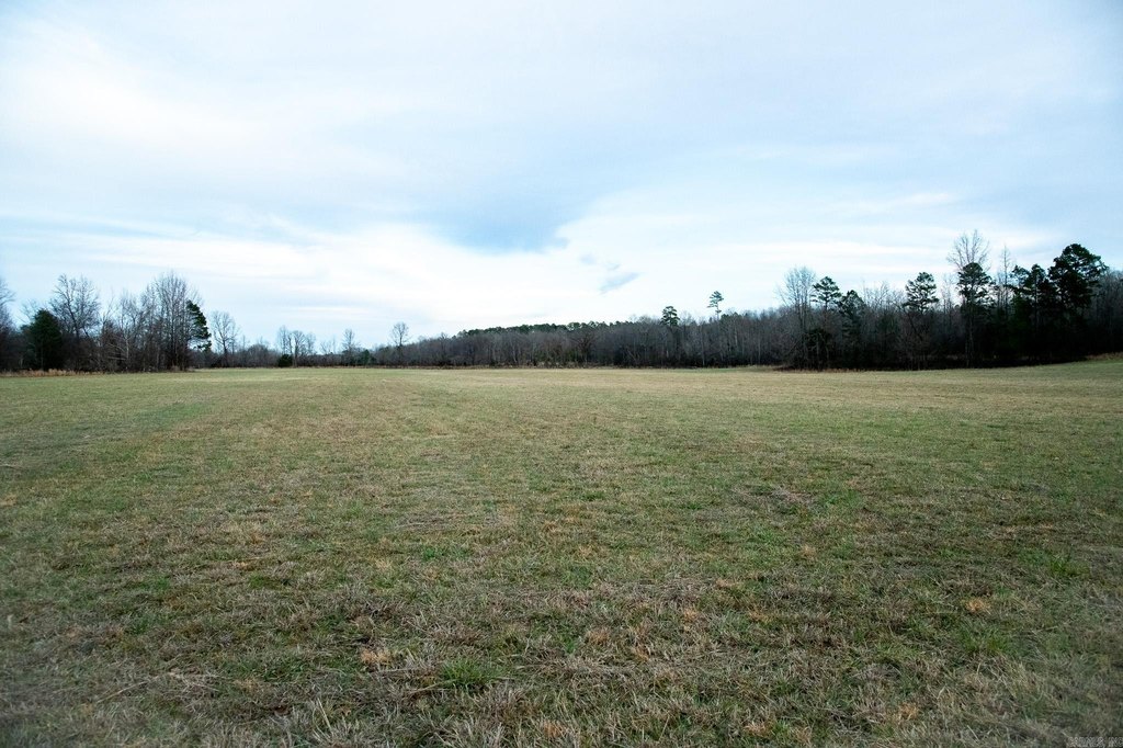 Picture 17