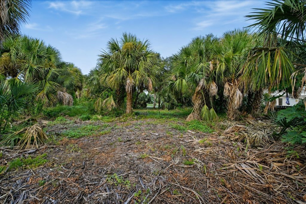 Picture 21