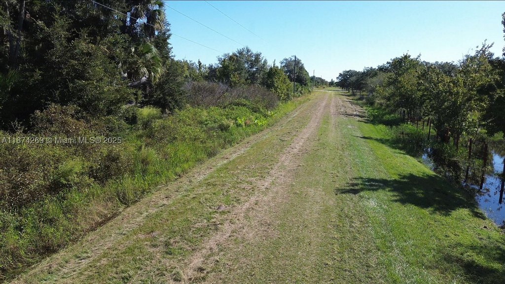 Picture 6