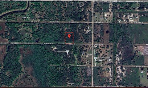 Okeechobee Vacant Lot with Trees