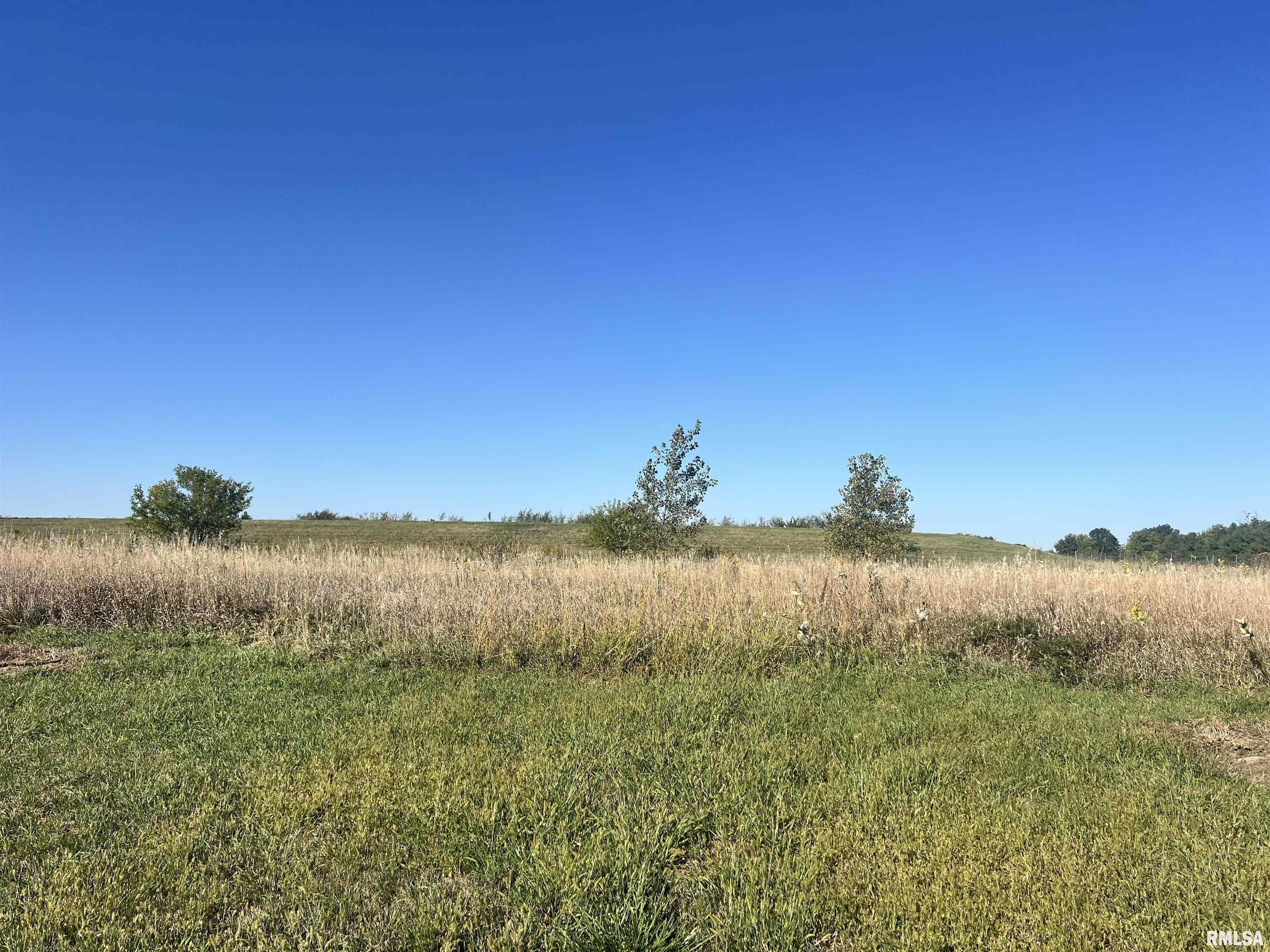 Residential Land in Metamora Fields