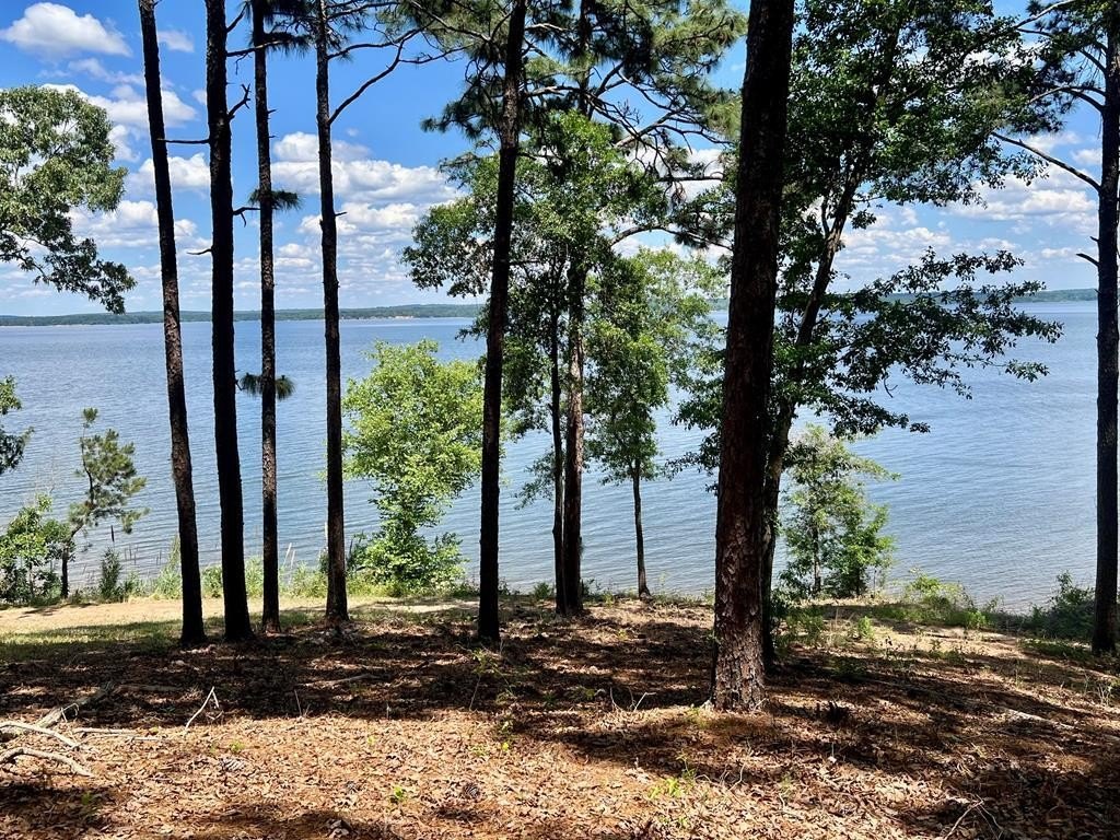 Waterfront Land on Lake Eufaula