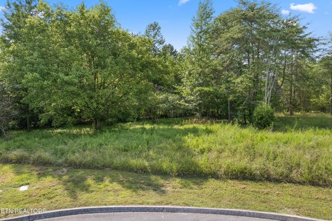 Wooded Lot Near Watts Bar Lake