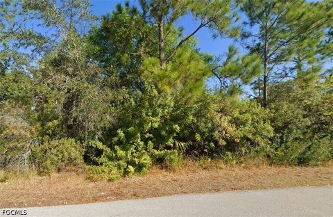 Land in Growing Lehigh Acres