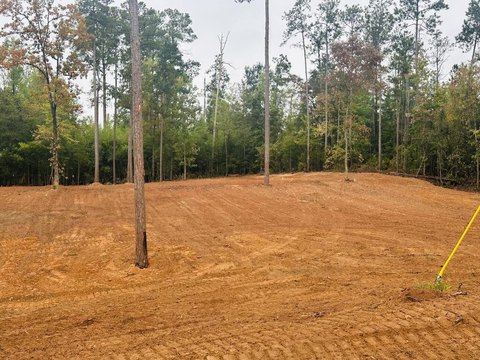 Land, Abbeville, AL