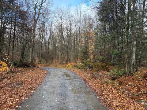 Northern Hardwood Hunting Land