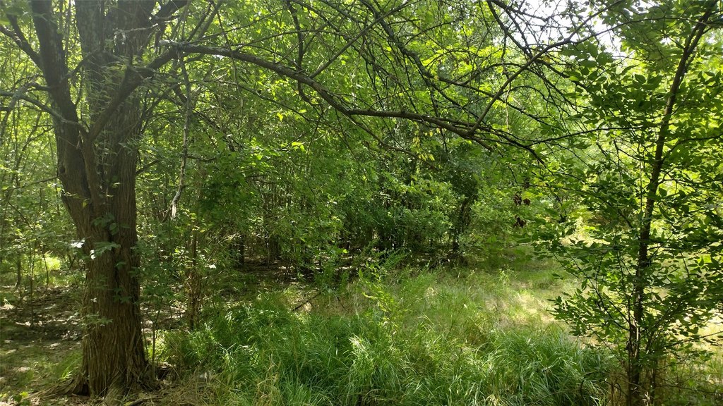 Picture 8