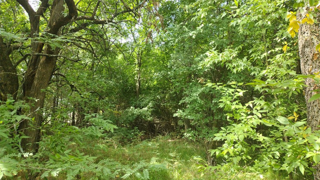 Picture 17