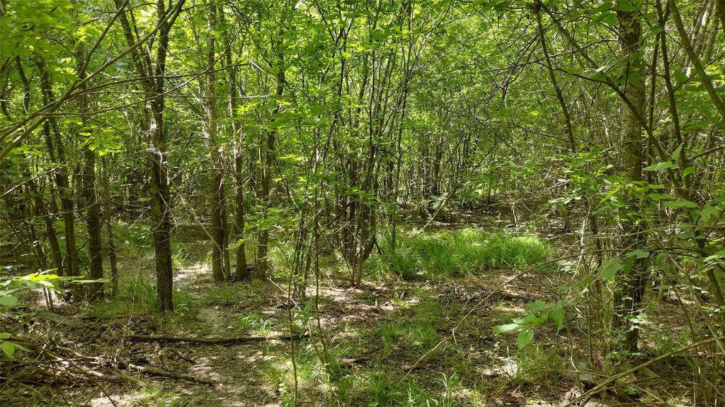 Picture 10