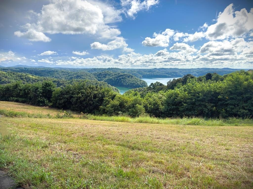 Land with Dale Hollow Lake Views