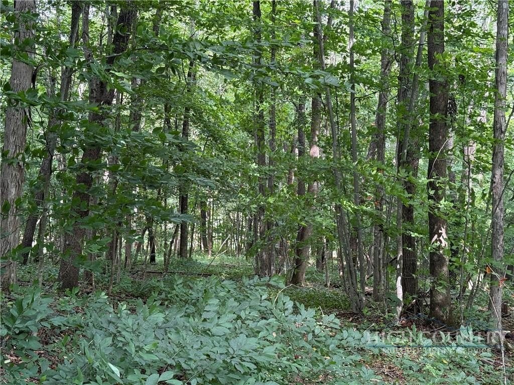 Picture 22
