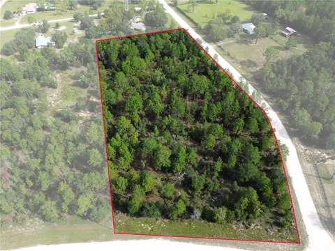 Land, WILLISTON, FL