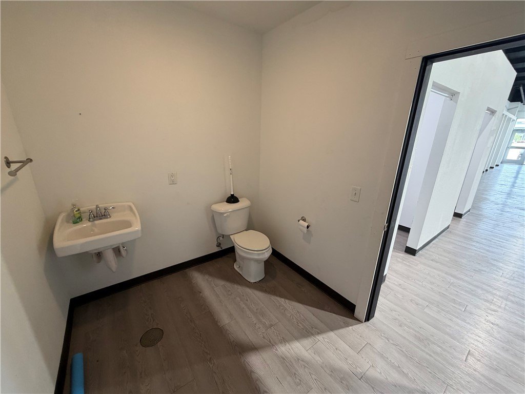 Picture 14