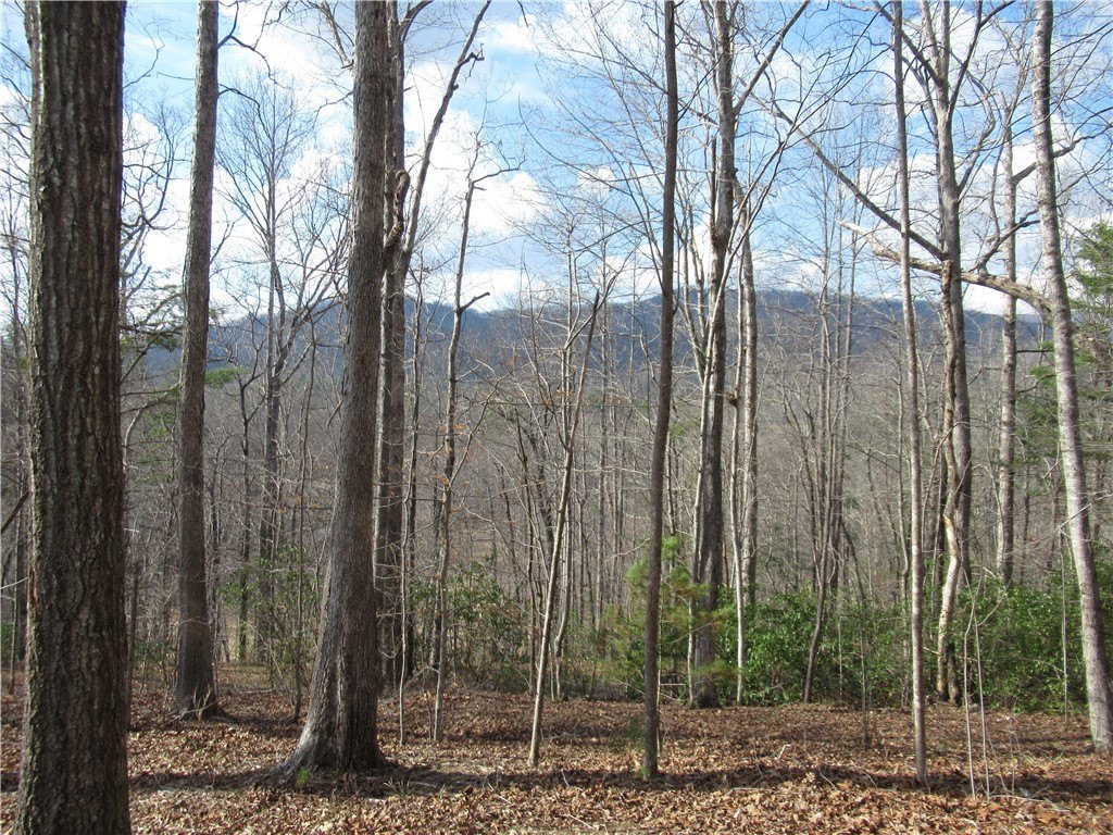Picture 25