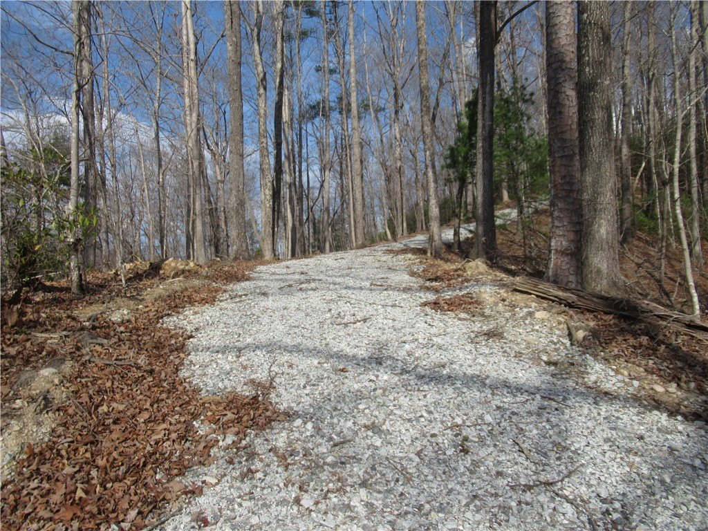 Picture 22