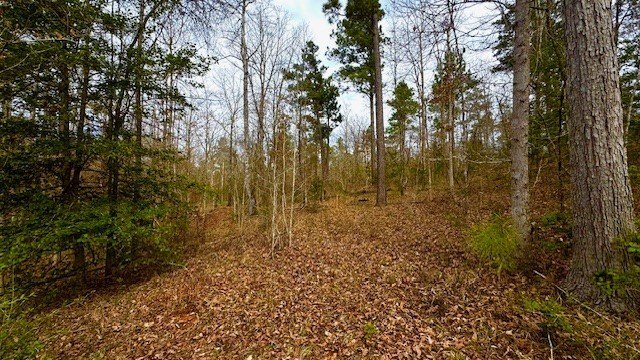 Picture 3