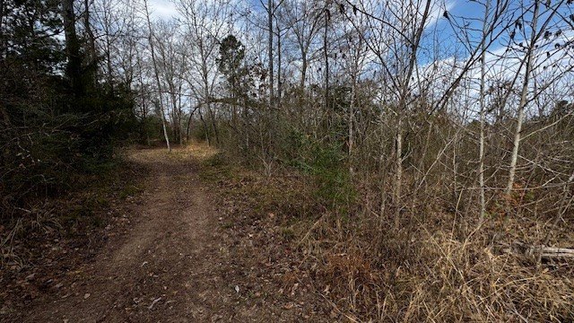 Picture 23