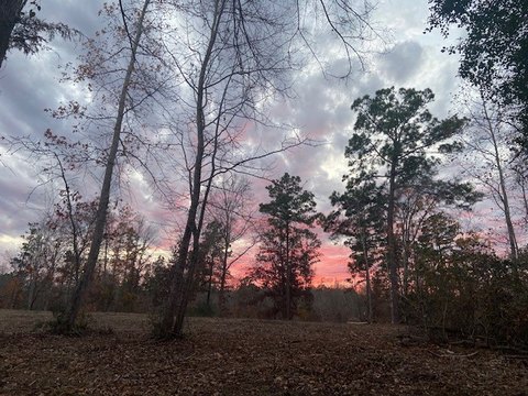 20 Acres Near Lake Palestine