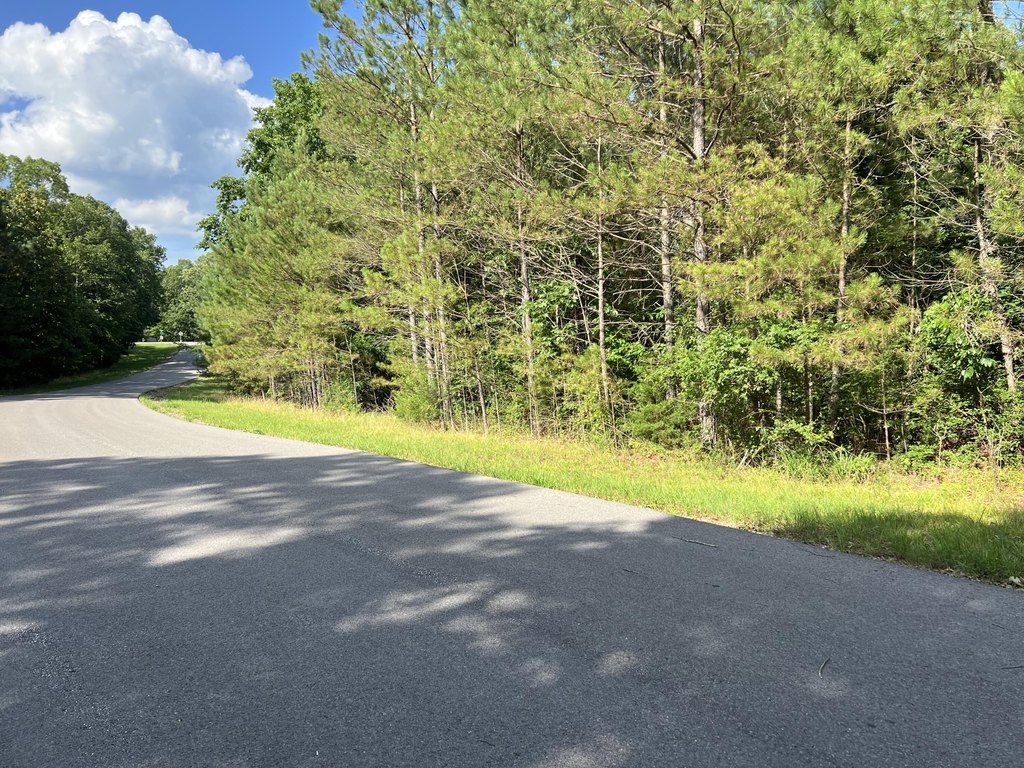 Picture 16