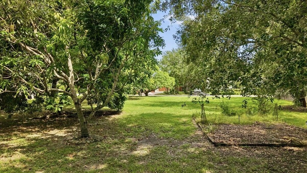 Picture 11