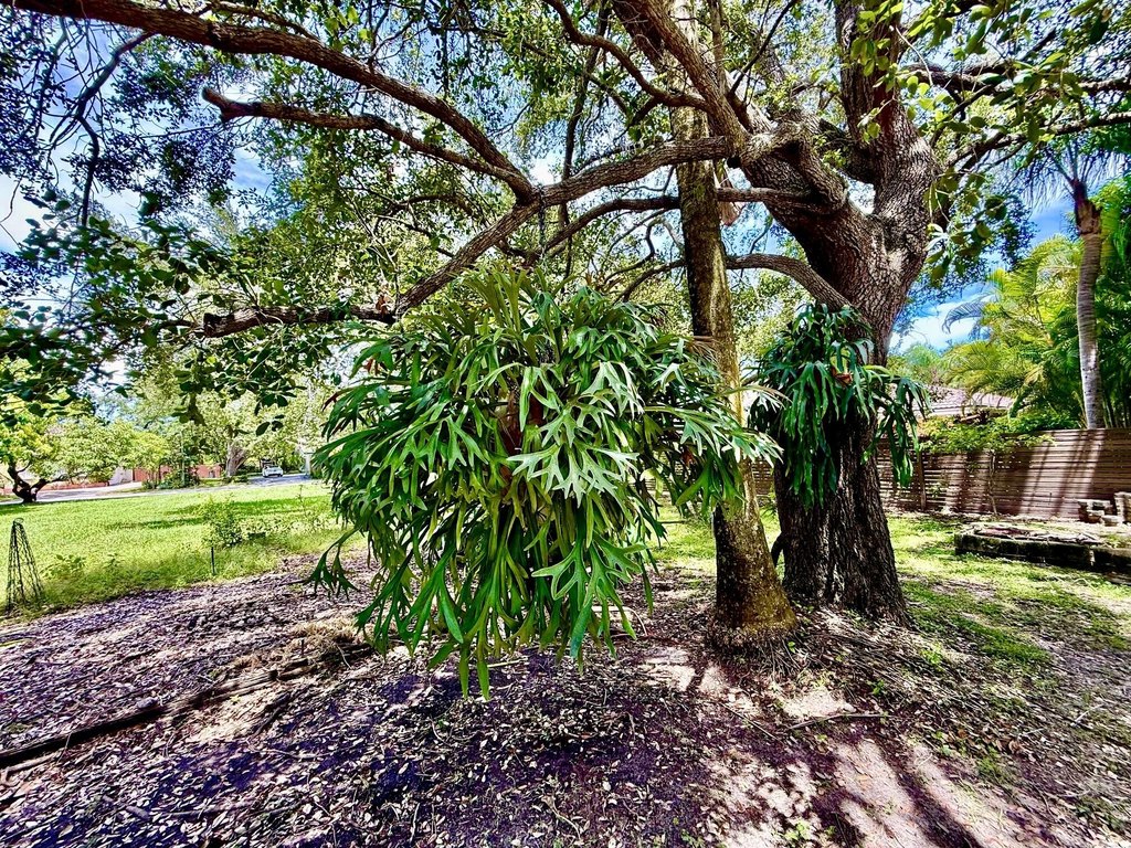 Picture 25