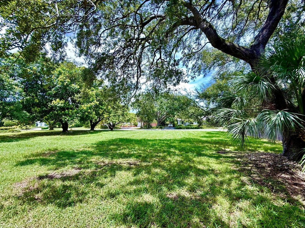 Picture 23