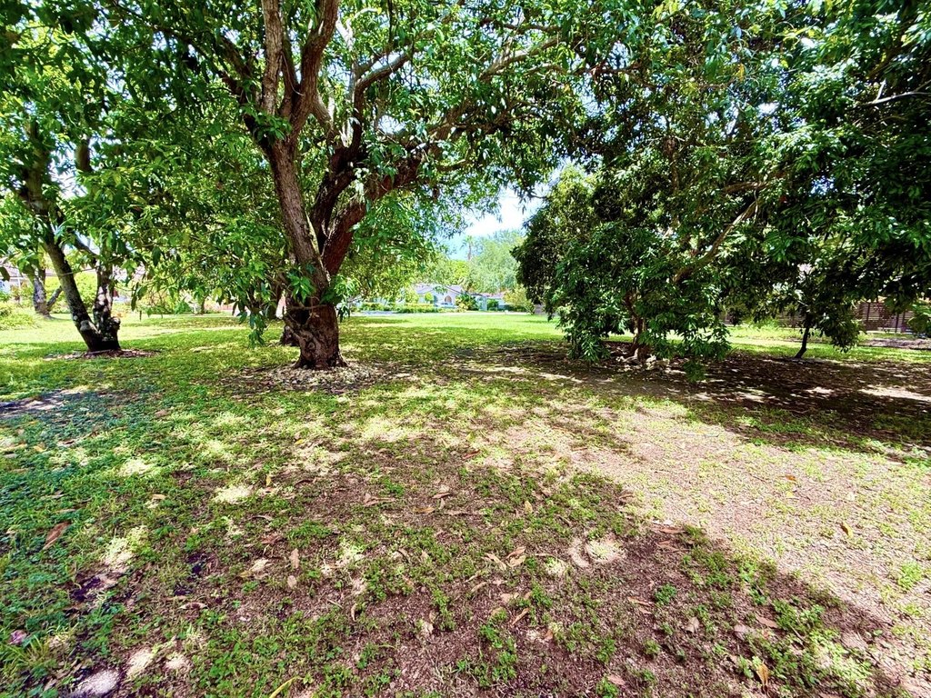 Picture 18