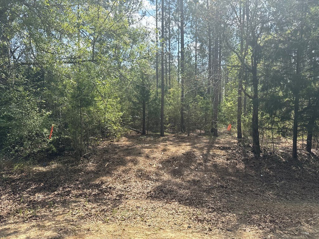 Picture 17