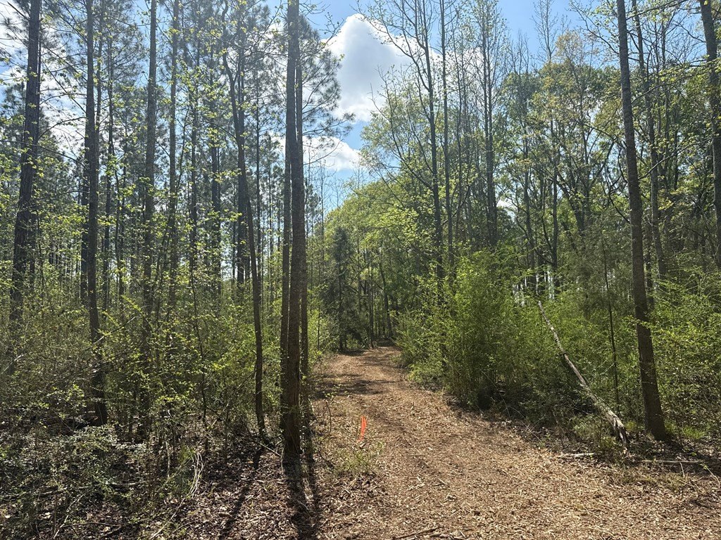 Picture 15