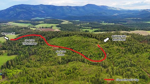 Timber Land Parcel with Road Access
