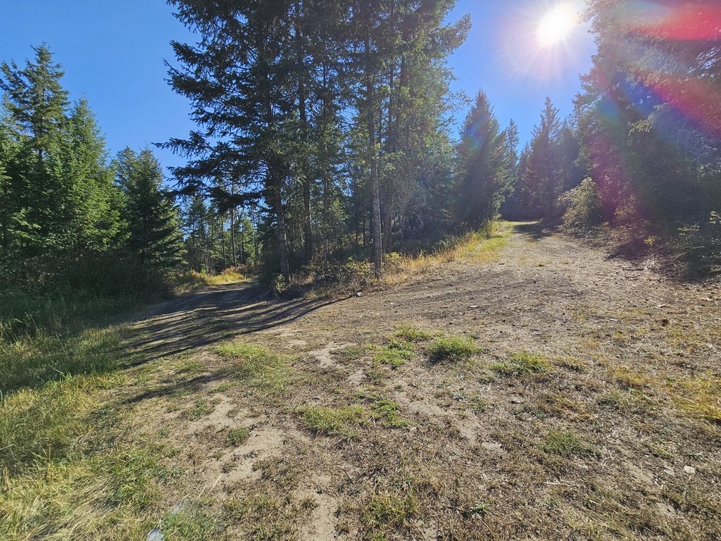 Picture 20
