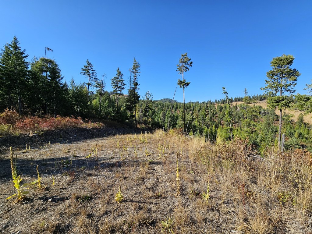 Picture 16
