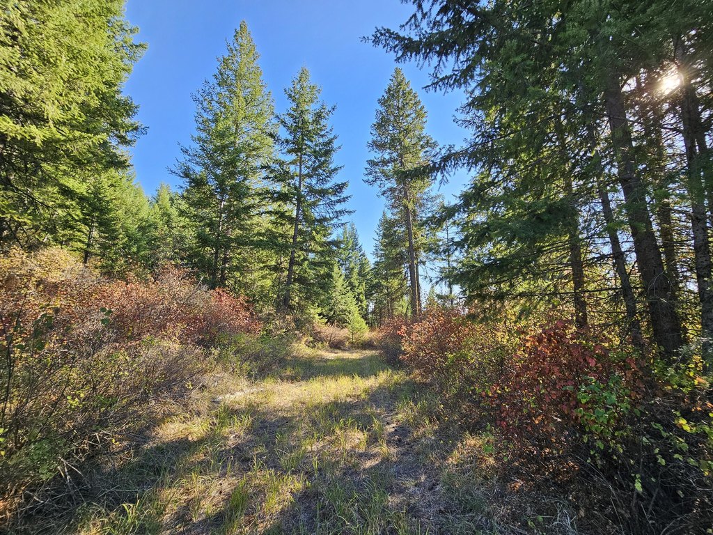 Picture 22