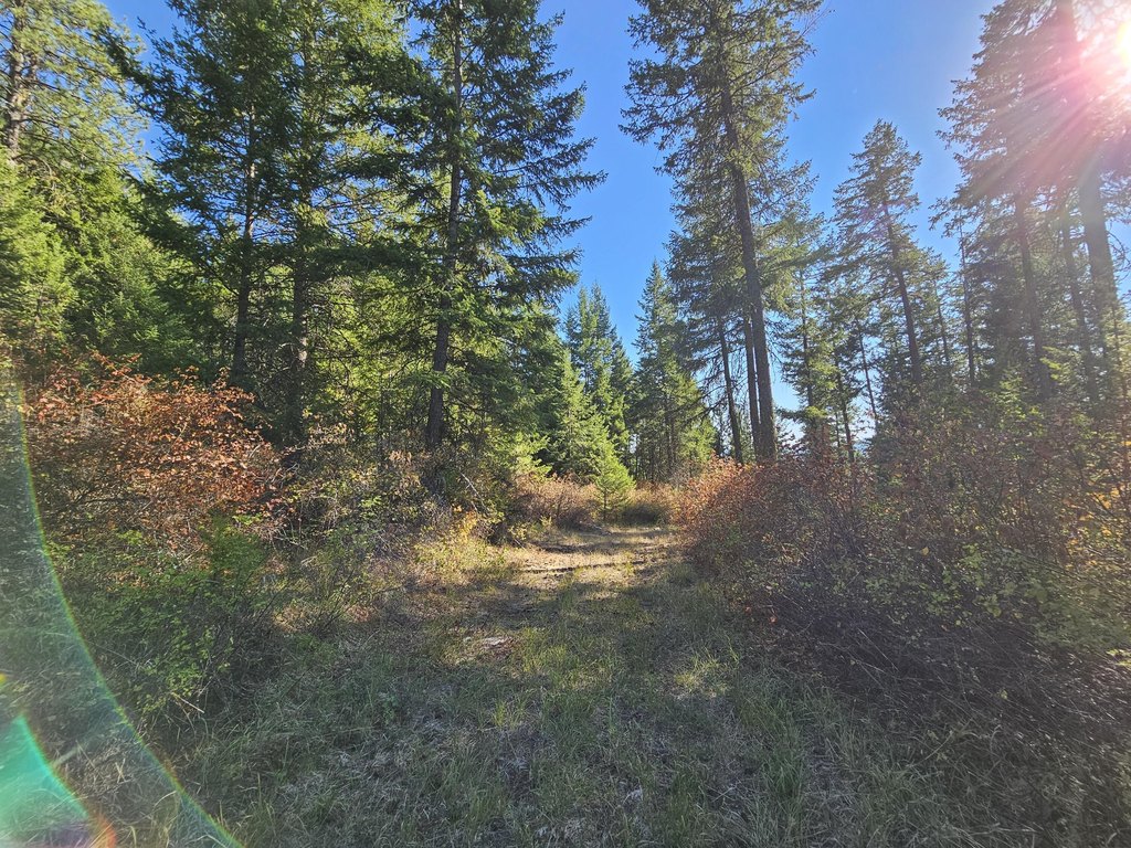 Picture 5