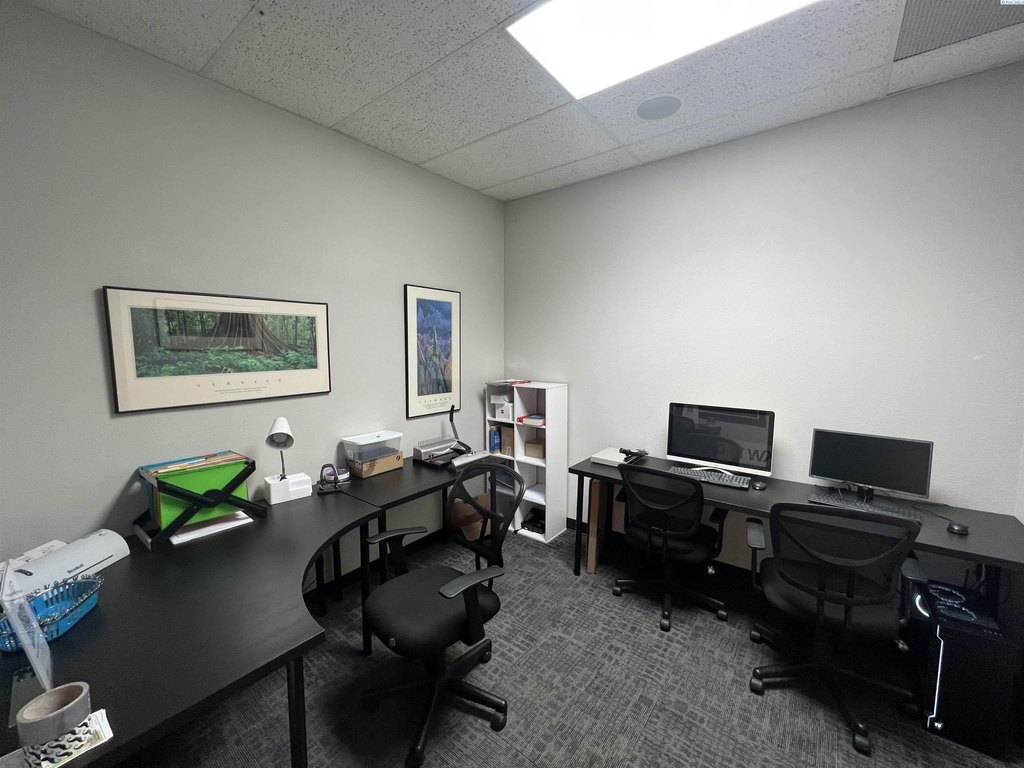 Picture 7