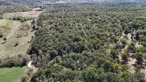 Marshfield, MO Wooded Land Parcel