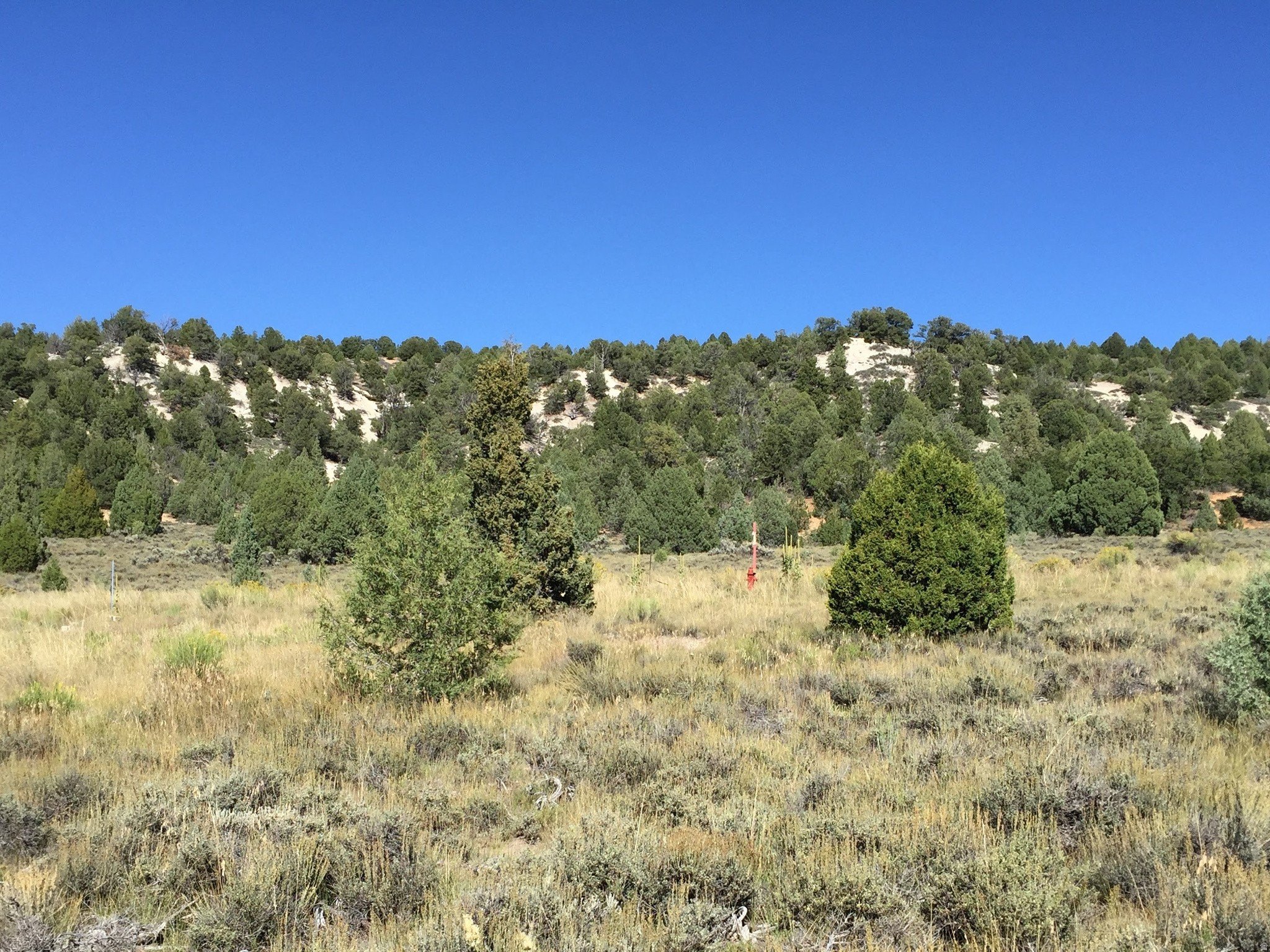 Scenic Land in Long Valley