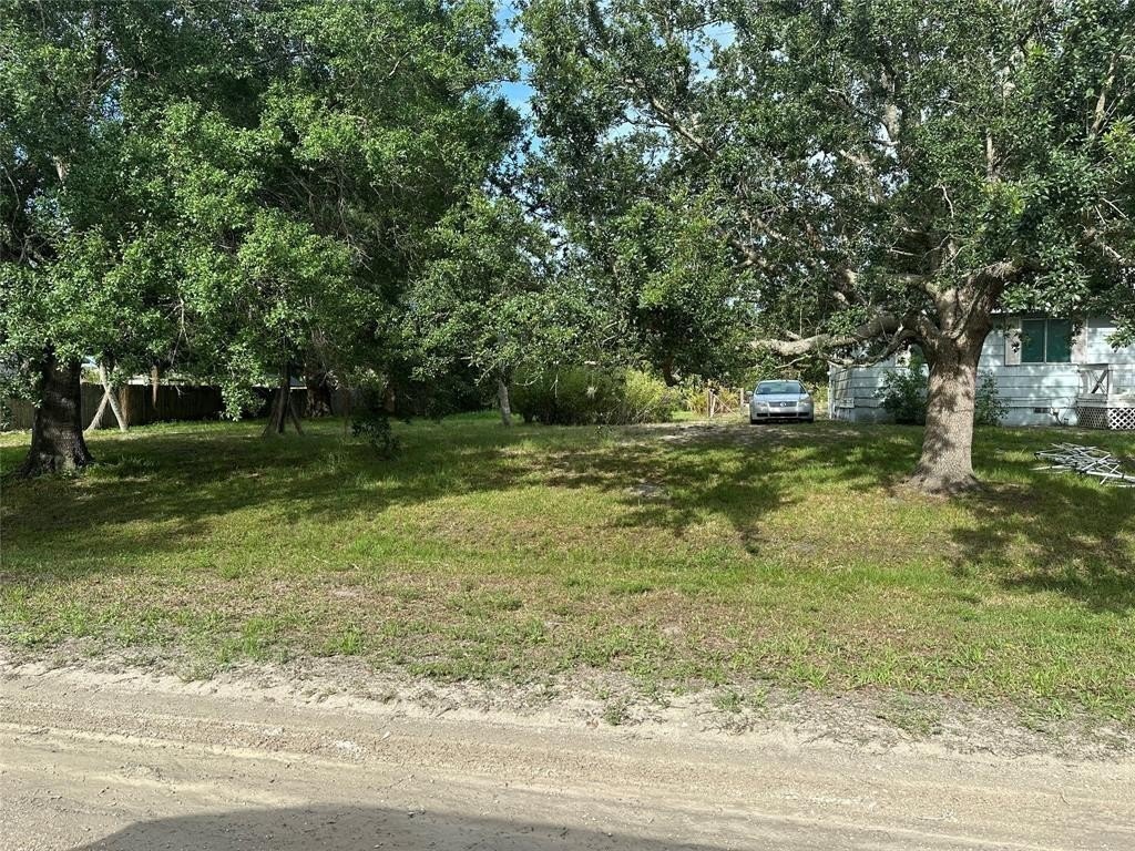 Picture 4