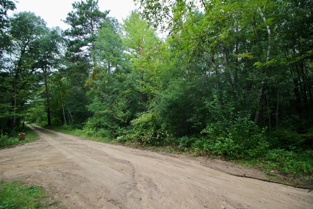 Picture 13
