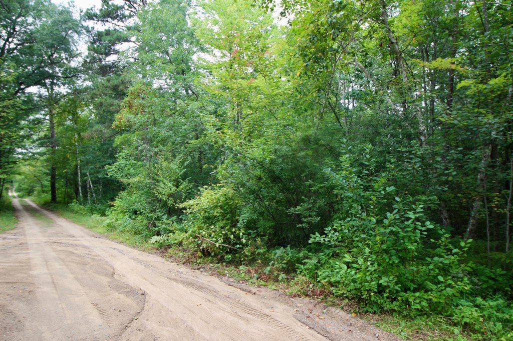 Picture 7