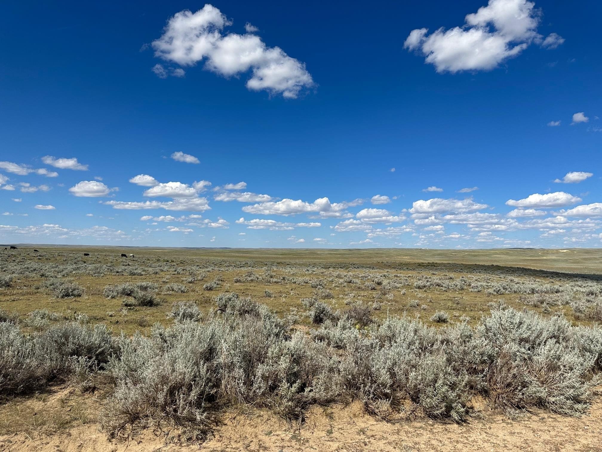 80-Acre View Parcel Near Casper