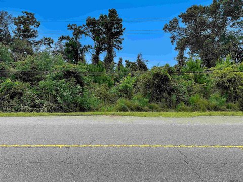Land, Holden, LA